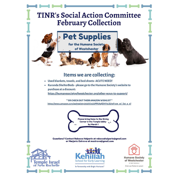 TINR'S Social Action Commitee February Collection